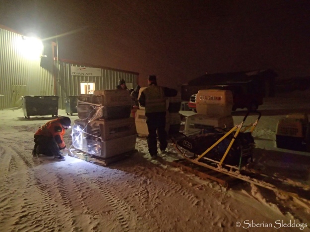 Dogs, sled and equipment are all ready to leave Nome
