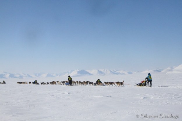 Our team in the passing queue on the ice towards Provideniya