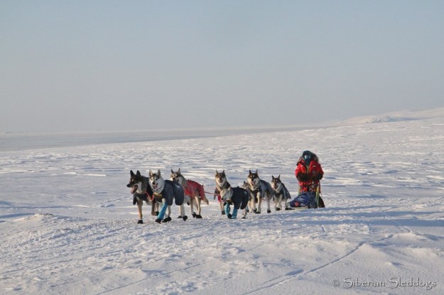Our team in the tundra on our way towards Lavrentiya