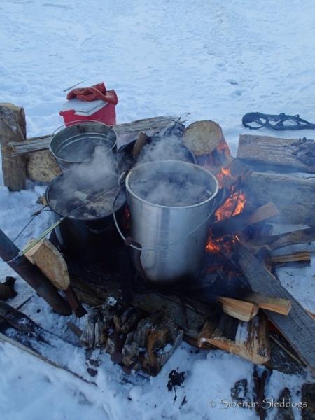 Our bonfire with pots of walrus soup cooking on the beach in Provideniya