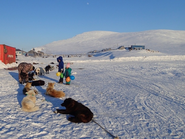 Local kids watching a musher taking care of his dogteam in Inchoun